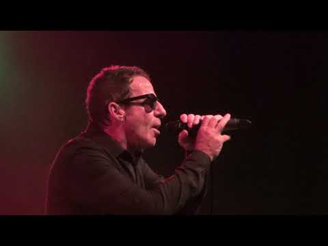 Dub Pistols - Keep The Fire Burning (live at Freedom Sounds 2019)