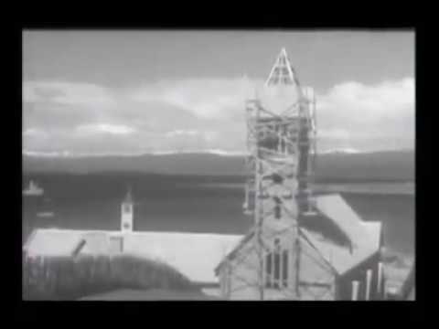 Hace 80 años llegaban los primeros 20 castores a Tierra del Fuego: cómo se inició la plaga que devastó el ecosistema