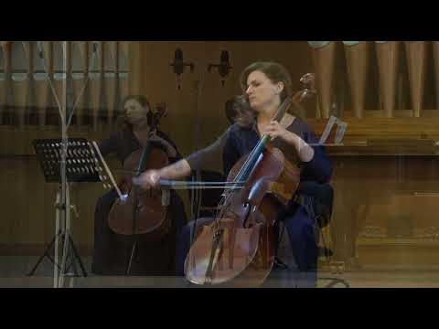 Astor Piazzolla - Libertango (cello & piano)