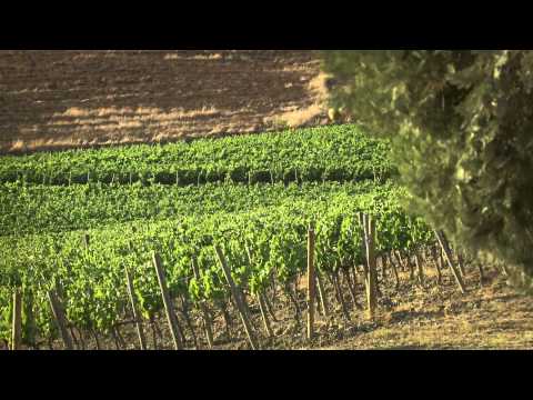 Castelgiocondo - Marchesi de' Frescobaldi