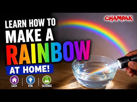 Learn How to Make a Rainbow at Home - Kids Science Experiments