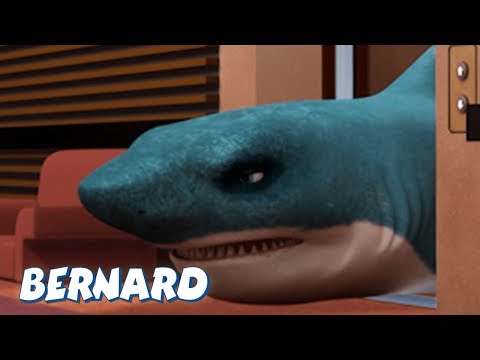 Bernard Bear | The Elevator AND MORE | 30 min Compilation | Cartoons for Children