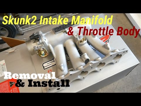 Skunk2 Intake Manifold & Throttle Body - How To Install - B20/B18 Civic EF