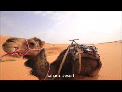 Japanese Backpacker in Spain, Portugal, Morroco