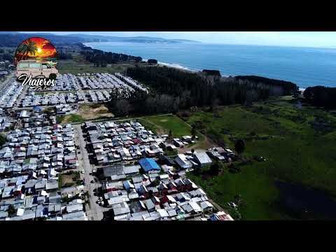 ARAUCO, OCTAVA REGION DEL BIO BIO