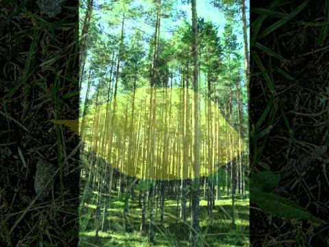 Tuuli Velling - "Sellest mullast"