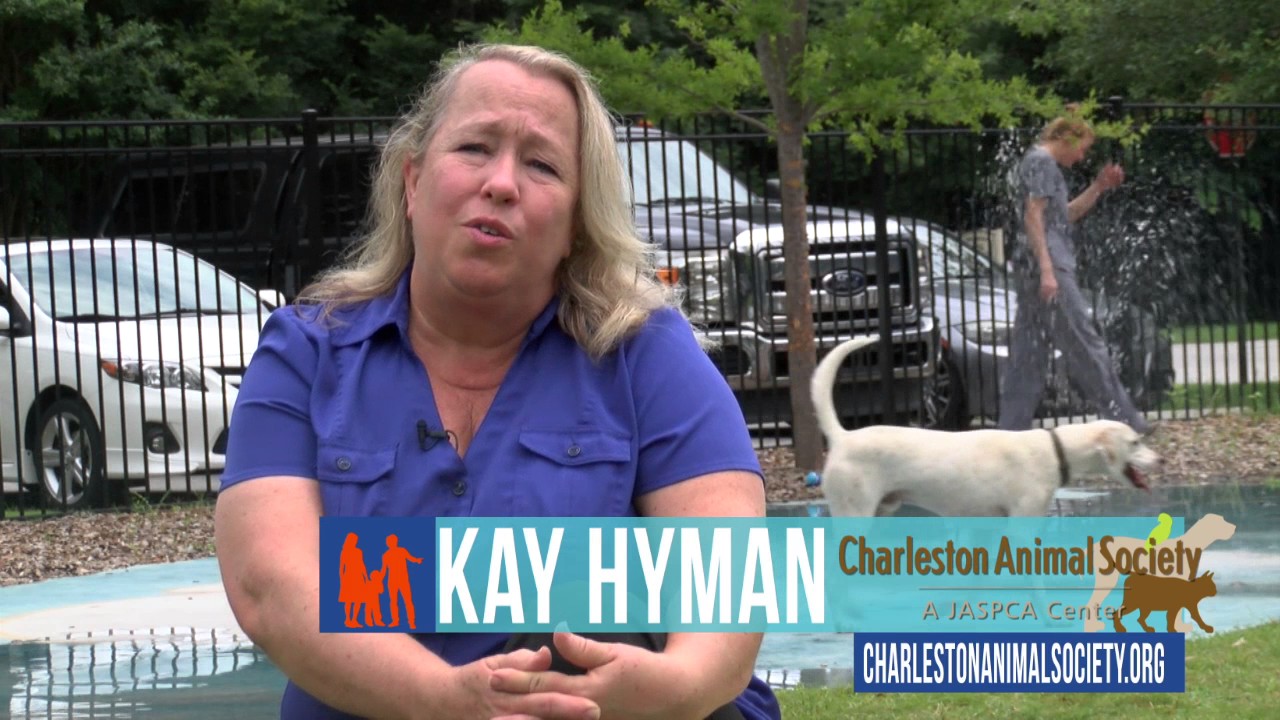 Charleston Animal Society
