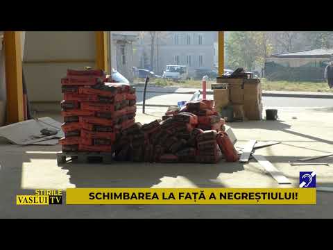 SCHIMBAREA LA FATA A NEGRESTIULUI!