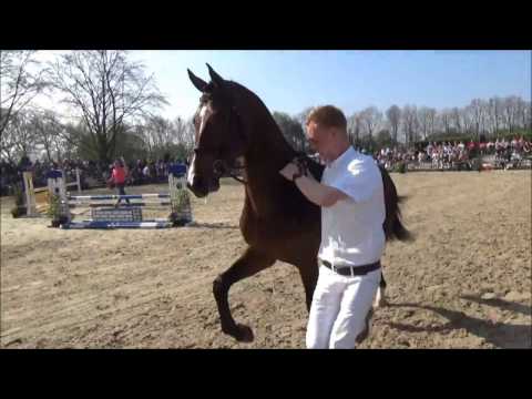 NUMERO UNO X CORNET OBOLENSKY