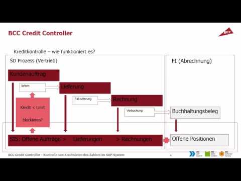 BCC Credit Controller – Kontrolle von Kreditdaten des Zahlers im SAP-System