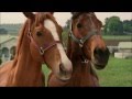 Disney Cinemagic Germany IM RENNSTALL IST DAS ZEBRA LOS RACING STRIPES Promo