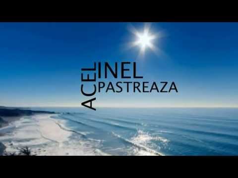 Adi Cristescu vs. Chris Mayer -  Acel inel (Official Music & Lyrics)