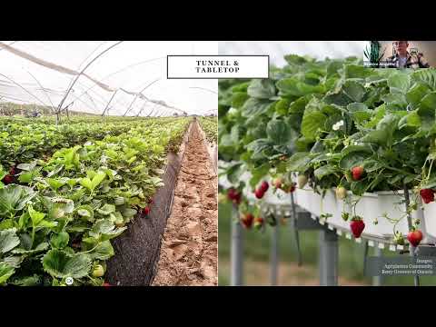 2024 NEFC-Dr. Beatrice Amyotte, Agriculture & Agri-Food Canada Strawberry Breeding & Cultivar Update