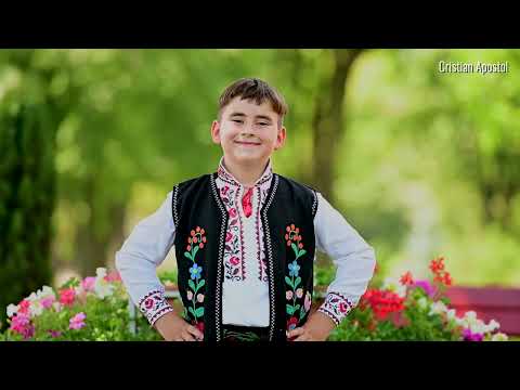 🔴 Teodor Butnaru - Foaie verde busuioc 🍀🌻🌿🌼 (Frunza verde busuioc) (Verde busuioc) ( Ion Paladi )