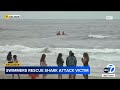 Witnesses rush into ocean to help swimmer attacked by shark near San Diego