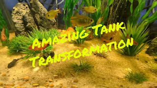 Amazing Tank Transformation: Watch As 10-20-40 Gallon Aquariums Reset And Shine!