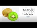 Fruit P2 Chinese HSK Basic Vocabulary Flashcards With Audio Shorts