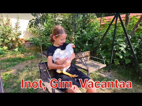 CUM FACEM NOI SPORT ACASA//sportive calatoare//Ocland, Harghita//scoala de acasa