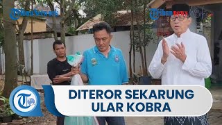 Rumah Wahidin Halim Diteror Sekarung Ular Kobra saat Hendak Menerima Kedatangan Anies Baswedan