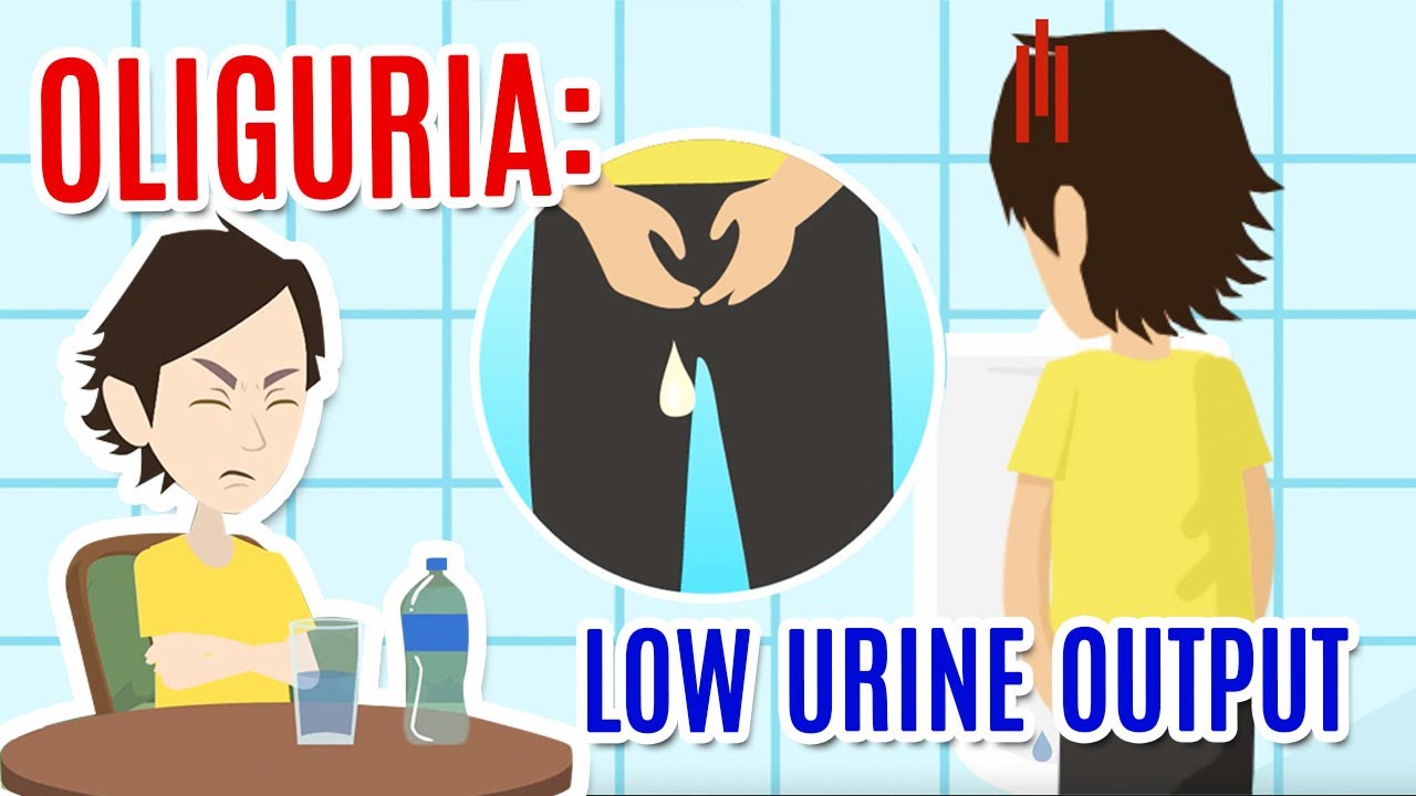 Oliguria: poor urine production. Causes, diagnosis and care