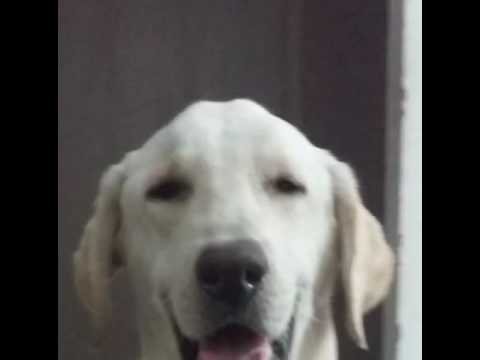 Pratham thakkar birthday 1111111111111111111111111111111111111111111111111111111111111111