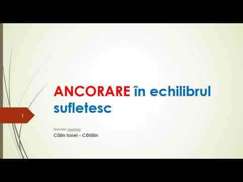 Ancorare sedinta 2