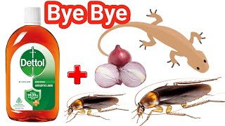 Say Goodbye to Cockroaches Forever with this Home Remedy! ❤️@HouseOfRemedies