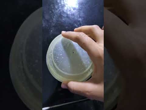 #kitkatshake  #shorts #youtubeshorts #shortsyoutube #shake