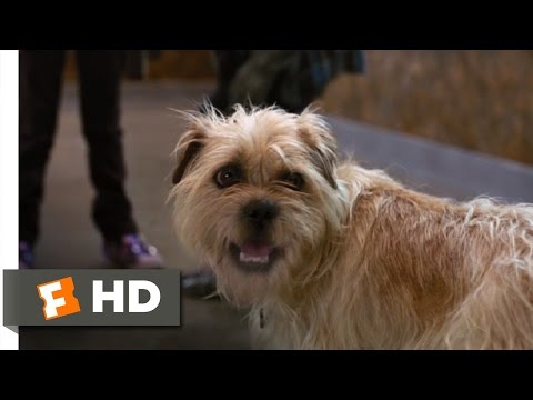 Spy Kids 4 (6/11) Movie CLIP - The Coolest Dog Ever (2011) HD