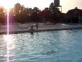 Family Swimming