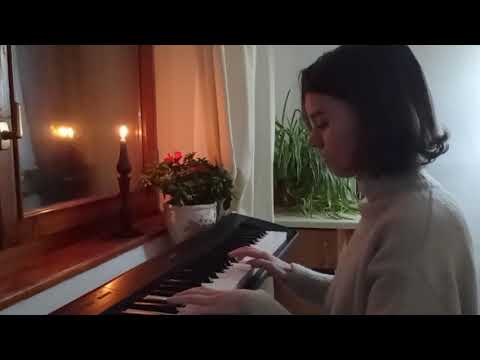 Pe lângă plopii fără soț - Oana Berdie