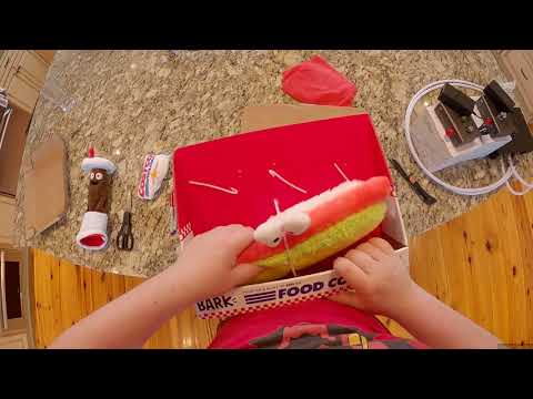 Z Unboxing - Evangelion TWS // Costco Dog Toys // THX AAA ONE