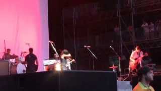 The Avett Brothers- Bonnaroo 2014- Vanity- Kick Drum Heart
