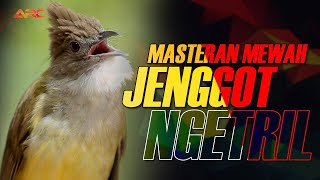 Download lagu MASTERAN CUCAK JENGGOT GACOR BESETAN KASAR mp3 Download lagu MASTERAN CUCAK JENGGOT GACOR BESETAN KASAR mp3