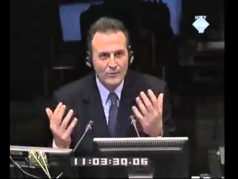 Војислав Шешељ - Сведок (Т) Љубиша Вукашиновић 01/01