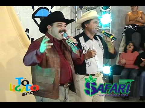 Desatino video