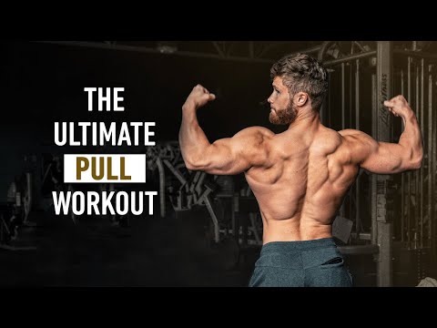 The Ultimate PULL Workout For Muscle Growth [Back, Biceps, Rear Delts] (2023)
