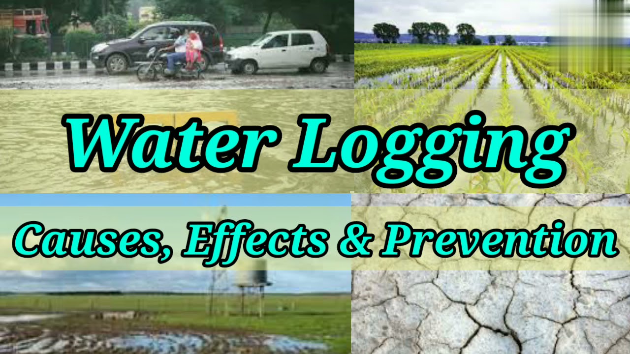 Water Logging | Causes | Effects | How to Prevent water logging| Irrigation Engineering| Shiwani Jha