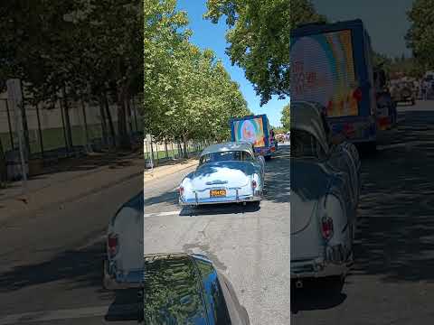 Rose White & Blue Parade 2025-Angela Tirado-The Voice of San Jose