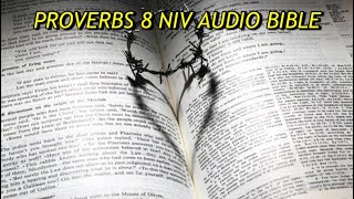 PROVERBS 8 NIV AUDIO BIBLE(with text)