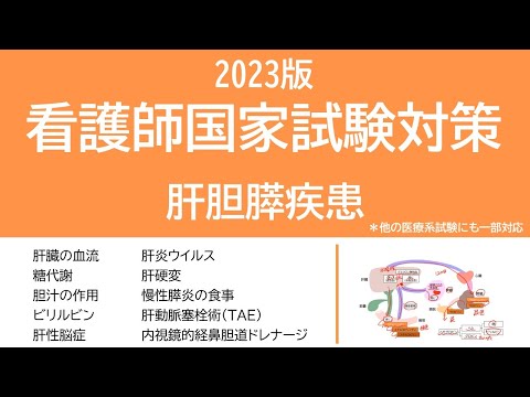 看護学科 2023看護師国家試験対策・肝胆膵疾患