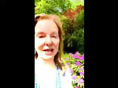 Yes Solar System Testimonial