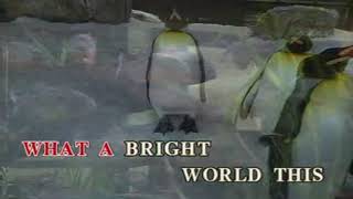 One Little Candle (Vocal)