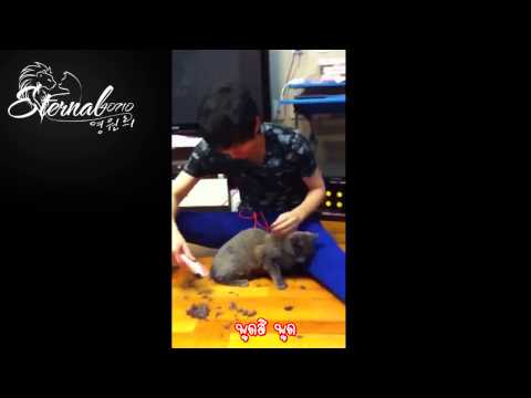 [TH Sub] 120211 RT @Siwon407 after (Heechul shaves Heebum)