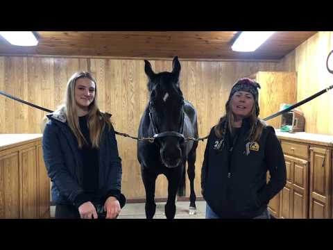 The Madden Method - Helmets and Hair