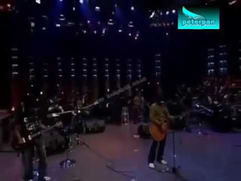 bikin merinding menunggu pagi peterpan live konser