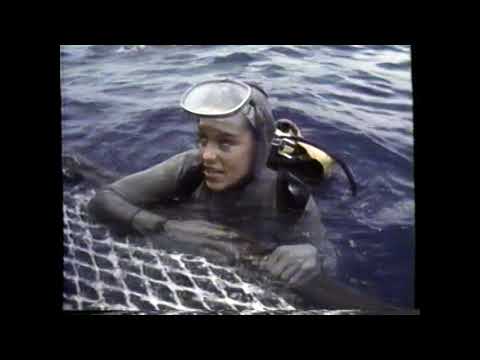 1985 OceanQuest Open and closing credits "Shawn Weatherly"