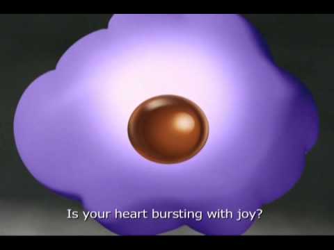 CADBURY DAIRY MILK SHOTS