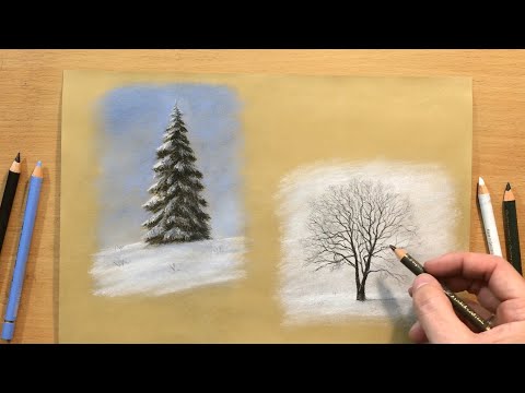 How to Draw Winter Trees - Landscape in Colored Pencil
