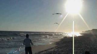 Steig in das Traumboot der Liebe - Red Saxon